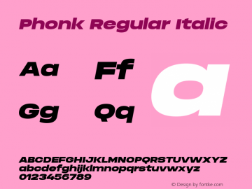 Phonk Regular Italic Version 1.00 May 21, 2021, initial release图片样张