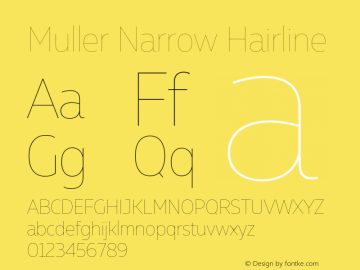Muller Narrow Hairline Version 1.000;PS 001.000;hotconv 1.0.88;makeotf.lib2.5.64775图片样张