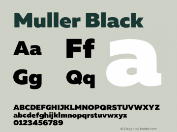 Muller Black Version 1.000;PS 001.000;hotconv 1.0.88;makeotf.lib2.5.64775图片样张
