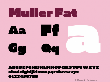 Muller Fat Version 1.000;PS 001.000;hotconv 1.0.88;makeotf.lib2.5.64775图片样张