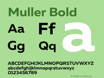 Muller Bold Version 1.000;PS 001.000;hotconv 1.0.88;makeotf.lib2.5.64775图片样张