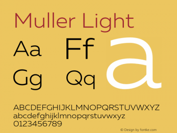 Muller Light Version 1.000;PS 001.000;hotconv 1.0.88;makeotf.lib2.5.64775图片样张