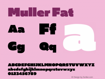 Muller Fat Version 1.000图片样张