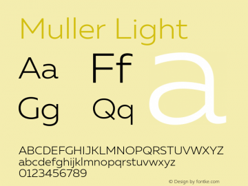 Muller Light Version 1.000图片样张