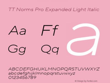 TT Norms Pro Expanded Light Italic Version 3.000.12072021图片样张