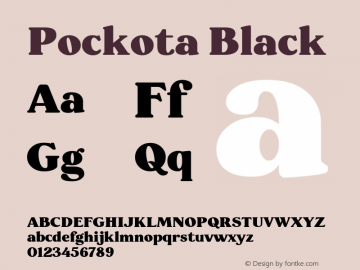 Pockota Black 1.000图片样张