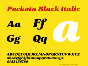 Pockota Black Italic 1.000图片样张