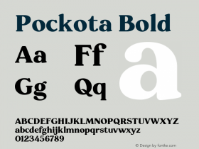 Pockota Bold 1.000图片样张