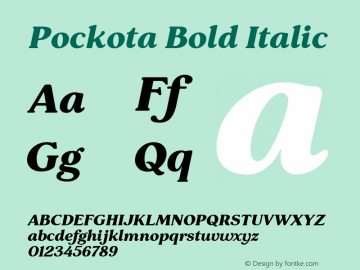 Pockota Bold Italic 1.000图片样张