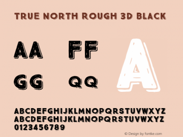 True North Rough 3D Black 1.000图片样张