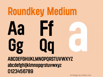 Roundkey-Medium Version 1.000图片样张