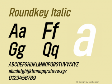 Roundkey-Oblique Version 1.000图片样张