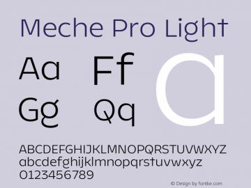 Meche Pro Light Version 1.000 | web-TT图片样张