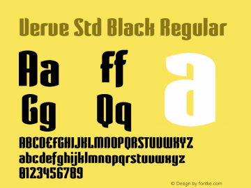 Verve Std Black Regular Version 2.020;PS 002.000;hotconv 1.0.50;makeotf.lib2.0.16970 Font Sample