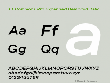 TT Commons Pro Expanded DemiBold Italic Version 3.000.09052021图片样张