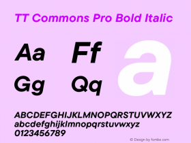 TT Commons Pro Bold Italic Version 3.000.09052021图片样张