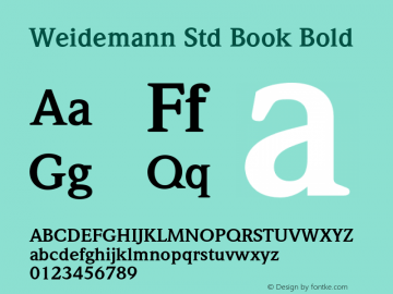 Weidemann Std Book Bold Version 2.031;PS 002.000;hotconv 1.0.50;makeotf.lib2.0.16970 Font Sample