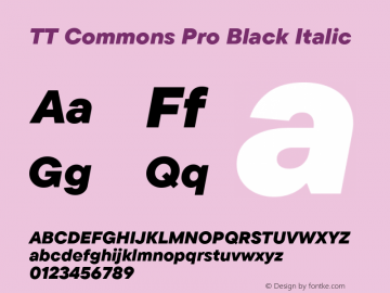 TT Commons Pro Black Italic Version 3.000.09052021图片样张