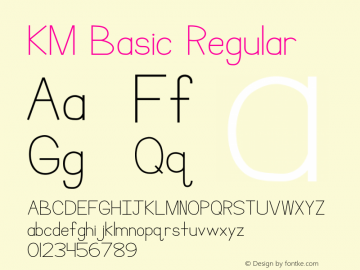 KM Basic Version图片样张