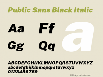 Public Sans Black Italic Version 1.005;hotconv 1.0.109;makeotfexe 2.5.65596图片样张