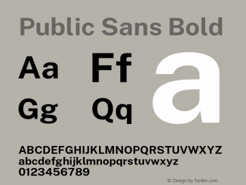 Public Sans Bold Version 1.005;hotconv 1.0.109;makeotfexe 2.5.65596图片样张