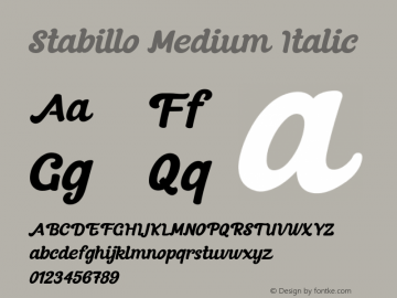 Stabillo Medium Italic 1.003图片样张