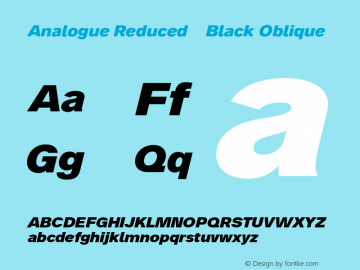 Analogue Reduced 86 Black Oblique Version 2.009图片样张