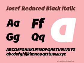 Josef Reduced Black Italic Version 6.001图片样张