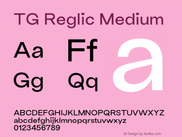 TG Reglic Medium Version 2.000;FEAKit 1.0图片样张