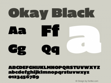 Okay Black Version 1.1 | w-rip DC20190910图片样张