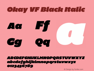 Okay VF Black Italic Version 1.003;hotconv 1.0.109;makeotfexe 2.5.65596图片样张