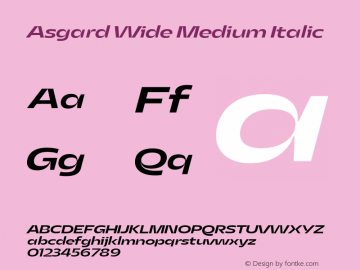 Asgard Wide Medium Italic Version 2.003;FEAKit 1.0图片样张