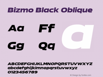 Bizmo Black Oblique Version 1.000图片样张