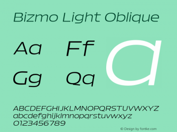 Bizmo Light Oblique Version 1.000图片样张