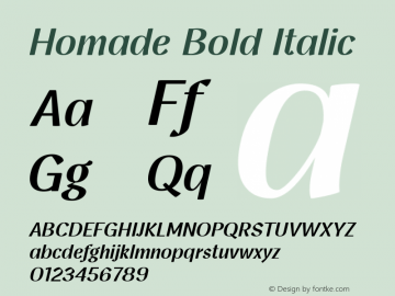 Homade Bold Italic Version 1.000图片样张