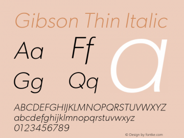 Gibson Thin Italic Version 1.002 | web-TT图片样张