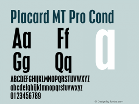 Placard MT Pro Cond Version 2.00 Build 1000图片样张