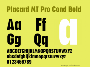 Placard MT Pro Cond Bold Version 2.00 Build 1000图片样张