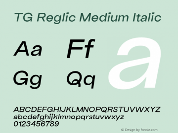 TG Reglic Medium Italic Version 2.000;FEAKit 1.0图片样张