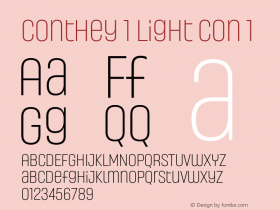 Conthey Light Con 1 Version 1.000 | web-TT图片样张