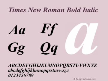 Times New Roman Bold Italic Version 2.50图片样张