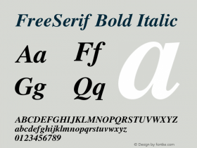 FreeSerif Bold Italic Version 0412.2268图片样张