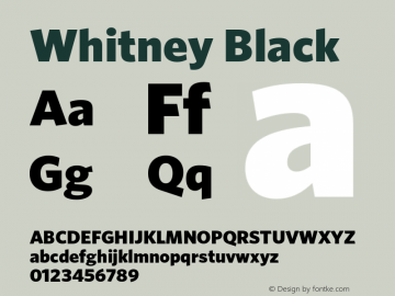 Whitney Black Version 2.202 Basic (Latin-X, Greek, Cyrillic-X)图片样张