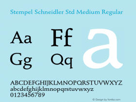 Stempel Schneidler Std Medium Regular OTF 1.029;PS 001.003;Core 1.0.33;makeotf.lib1.4.1585 Font Sample
