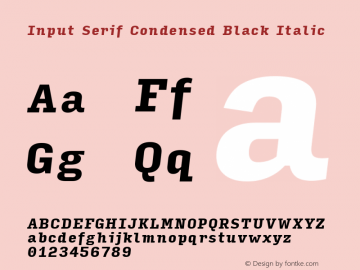 InputSerifCondensed BlackIta Version 0.000;PS 0.0;hotconv 1.0.72;makeotf.lib2.5.5900; ttfautohint (v0.9)图片样张