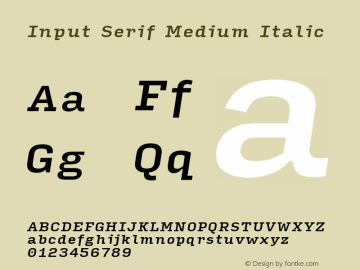 InputSerif MediumIta Version 0.000;PS 0.0;hotconv 1.0.72;makeotf.lib2.5.5900图片样张