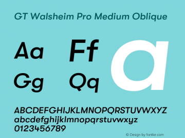 GT Walsheim Pro Medium Oblique Version 2.002;PS 002.002;hotconv 1.0.88;makeotf.lib2.5.64775图片样张