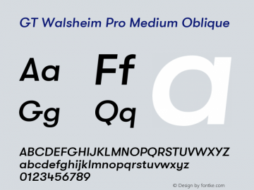 GT Walsheim Pro Medium Oblique Version 2.002图片样张