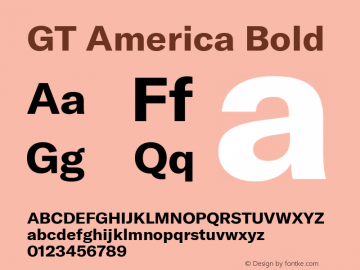 GT America Bold Version 1.005图片样张