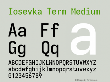 Iosevka Term Medium Version 3.4.0; ttfautohint (v1.8.3)图片样张